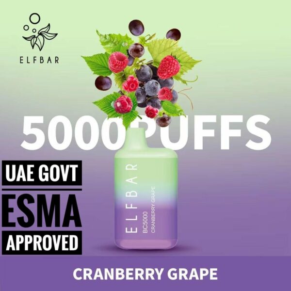 ELF BAR BC5000 Cranberry Grape